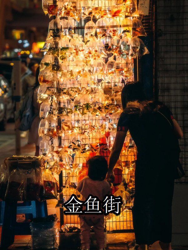 香港魚缸店，香港旺角金魚街游記:都市中的水族箱奇觀,攜程旅行 香港魚缸店，香港旺角金魚街游記:都市中的水族箱奇觀,攜程旅行 全國水族館企業名錄 第7張