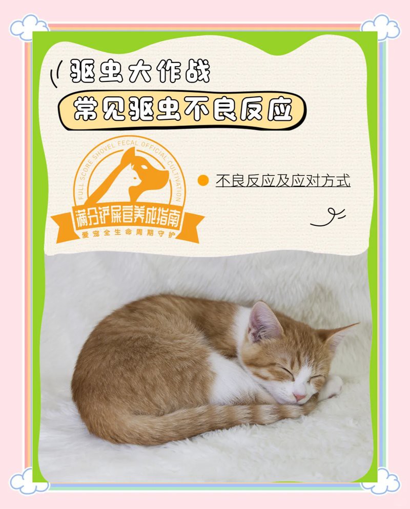 如何判斷龍魚是否驅蟲成功？，《如何判斷龍魚是否驅蟲成功》判斷龍魚是否驅蟲成功