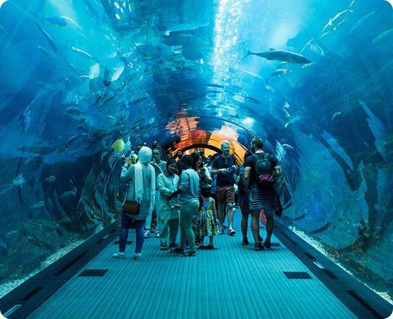 溫州水族館，探秘蔚藍顯示著今日游客承諾