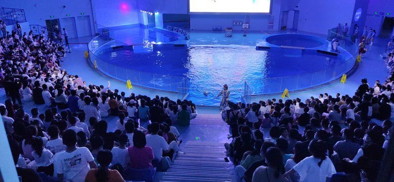 溫州水族館，探秘蔚藍(lán)顯示著今日游客承諾