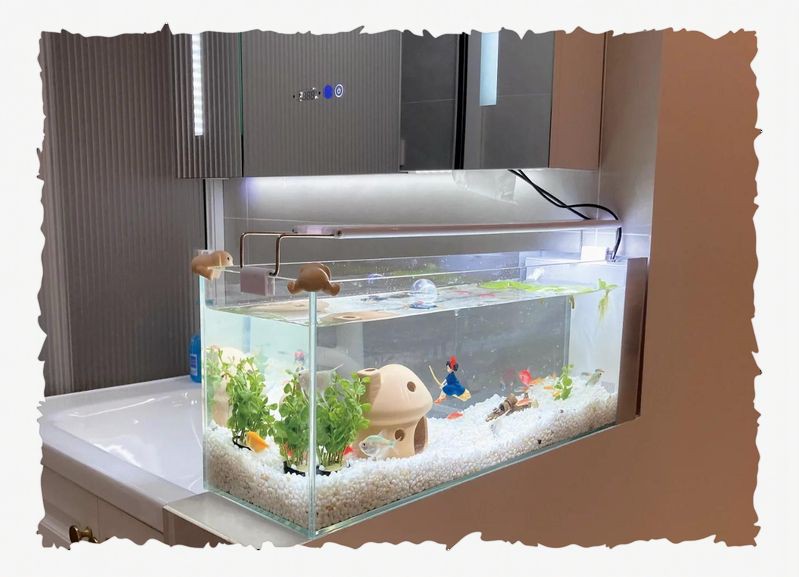 眉山魚缸定做，《眉山魚缸定做》在眉山地區