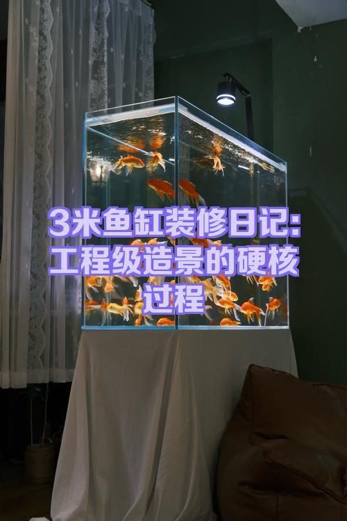 眉山魚缸定做，《眉山魚缸定做》在眉山地區