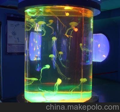 眉山魚缸定做，《眉山魚缸定做》在眉山地區