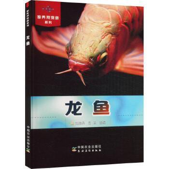 《龍魚》的作者是誰？，有聲書:《龍魚》