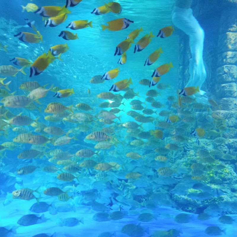 銀川水族館，探秘銀川水族館