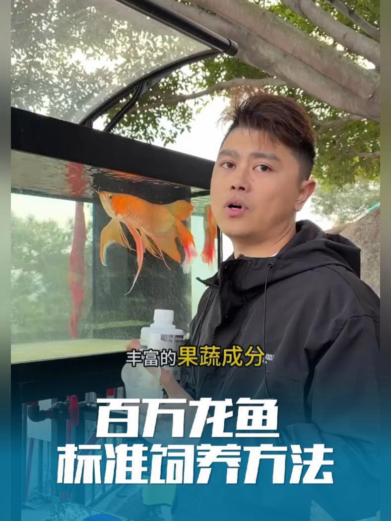 鳳凰紅龍魚的最佳飼養環境，鳳凰紅龍魚最佳飼養環境需綜合多方面因素 鳳凰紅龍魚的最佳飼養環境，鳳凰紅龍魚最佳飼養環境需綜合多方面因素 龍魚百科 第7張