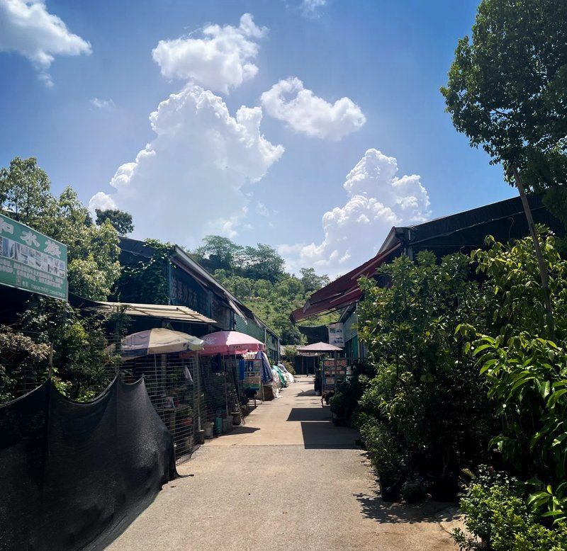 重慶魚缸店，重慶水族市場探秘