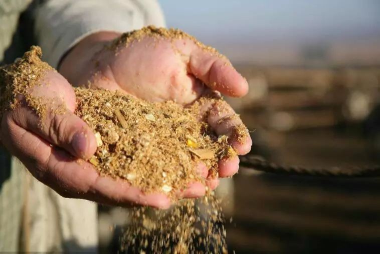 如何判斷紅龍飼料的質量，如何判斷紅龍飼料的質量至關重要，水產飼料簡易鑒別全攻略 如何判斷紅龍飼料的質量，如何判斷紅龍飼料的質量至關重要，水產飼料簡易鑒別全攻略 龍魚百科 第1張