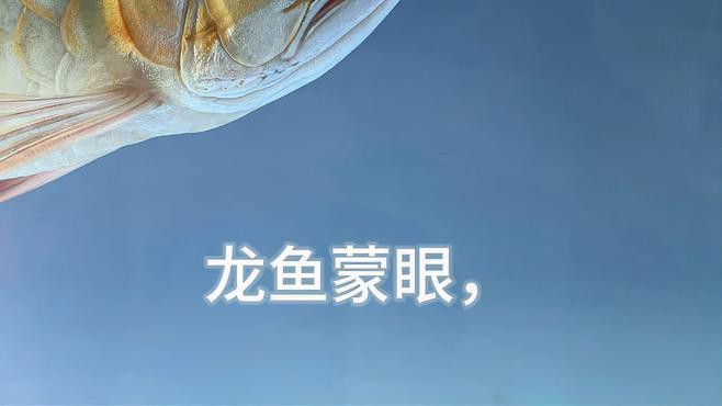 如何判斷龍魚是否患蒙眼病？，龍魚蒙眼怎么辦急救個性龍魚蒙眼原因及治療方法全攻略