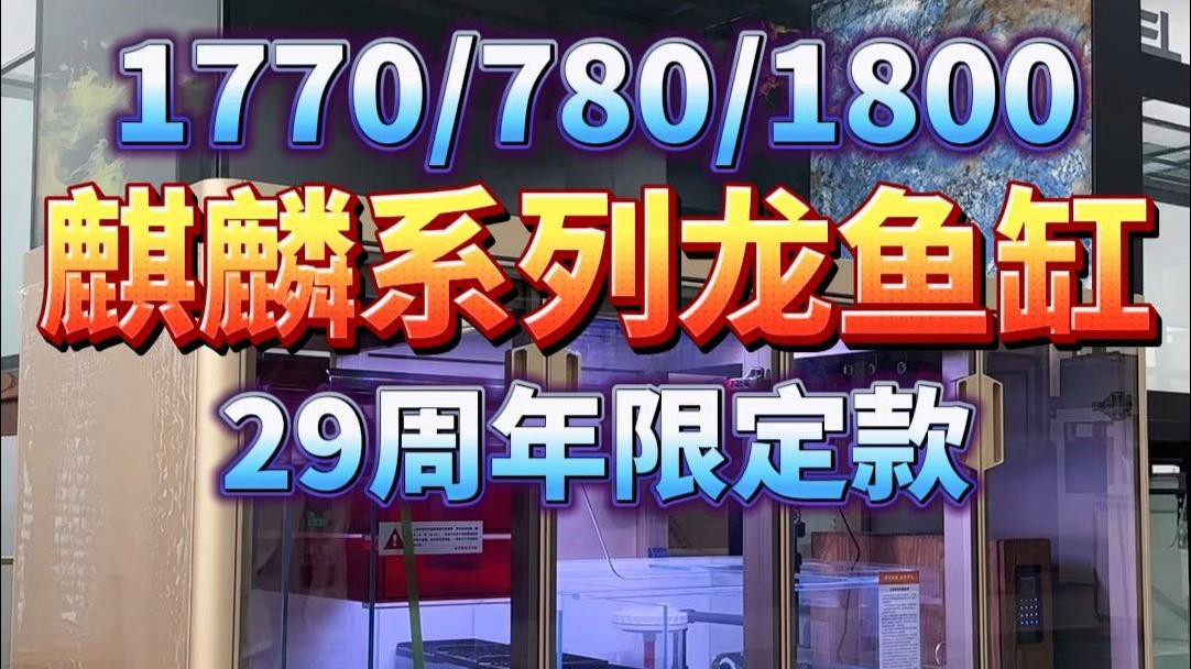 哪個品牌的龍魚缸性價比最高？，2025年中國水族箱品牌top10權威榜單出爐森森和閩江性價比突出