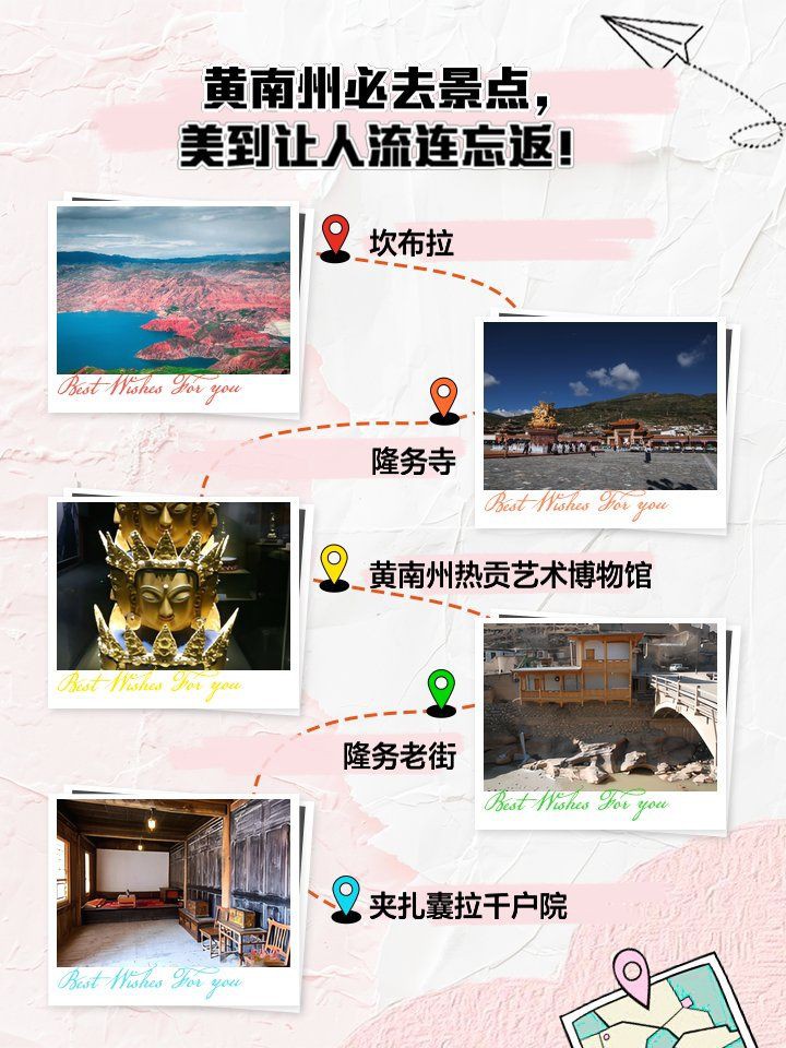 黃南藏族自治州龍魚店，黃南藏族自治州的龍魚店