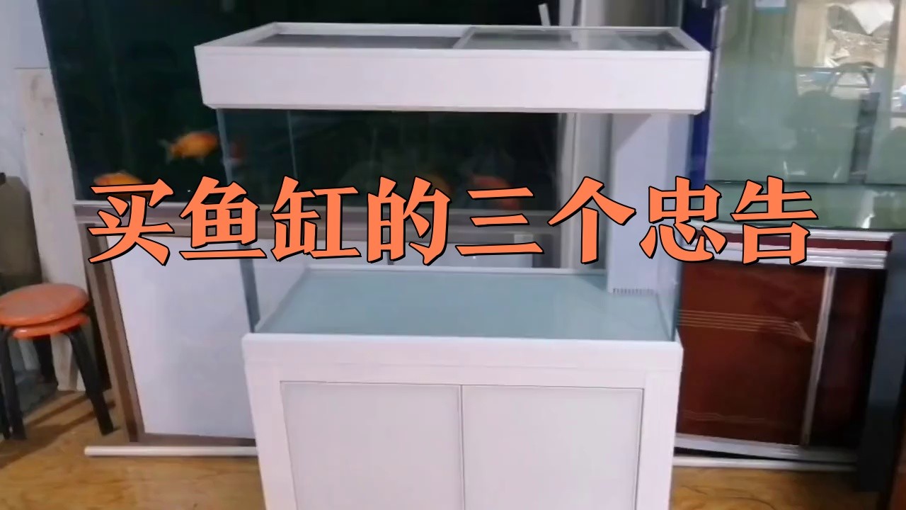 如何判斷一個龍魚缸品牌的好壞？，《如何判斷一個龍魚缸品牌的好壞》 如何判斷一個龍魚缸品牌的好壞？，《如何判斷一個龍魚缸品牌的好壞》 龍魚百科 第2張