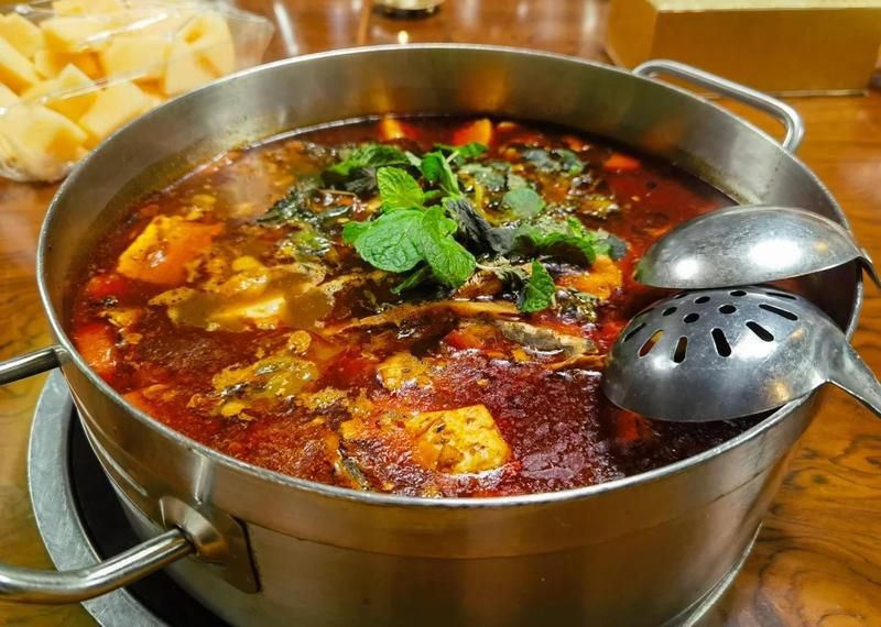 遵義龍魚店，遵義龍魚店創業攻略