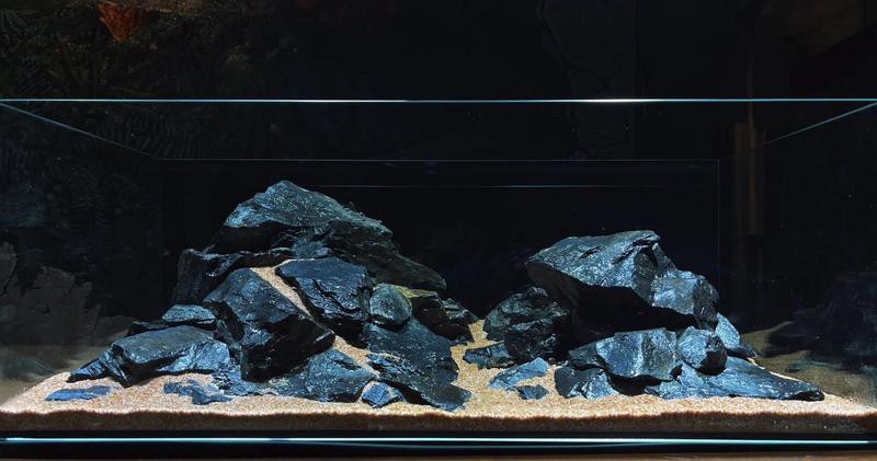 80cm大寬魚缸一般寬多長，《80cm大寬魚缸一般寬多長》魚缸尺寸參照表魚缸養魚大全