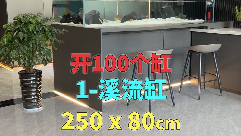 80cm大寬魚缸一般寬多長，《80cm大寬魚缸一般寬多長》魚缸尺寸參照表魚缸養魚大全