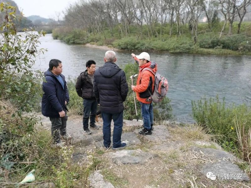 建鯉魚圖，《建鯉圖》以獨特的藝術創新展現了獨特的藝術創新