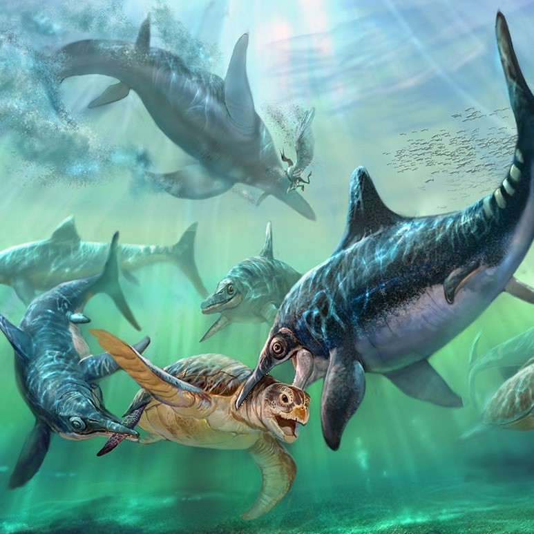 再給我一些魚龍種類，魚龍類中主要屬種的分類及特征概述：部分物種后獨立為新屬 再給我一些魚龍種類，魚龍類中主要屬種的分類及特征概述：部分物種后獨立為新屬 龍魚論壇 第2張