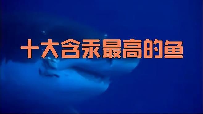 劍魚為何不建議吃,劍骨魚為何不建議吃 全國水族館企業名錄 第7張 劍魚為何不建議吃,劍骨魚為何不建議吃 劍魚為何不建議吃,劍骨魚為何不建議吃 全國水族館企業名錄 第7張