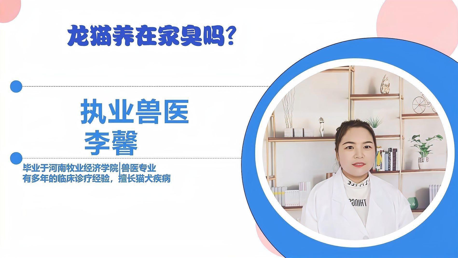 如何減少龍貓糞便的氣味？，龍貓有味道嗎龍貓身上沒有臭味，正確打理更清新
