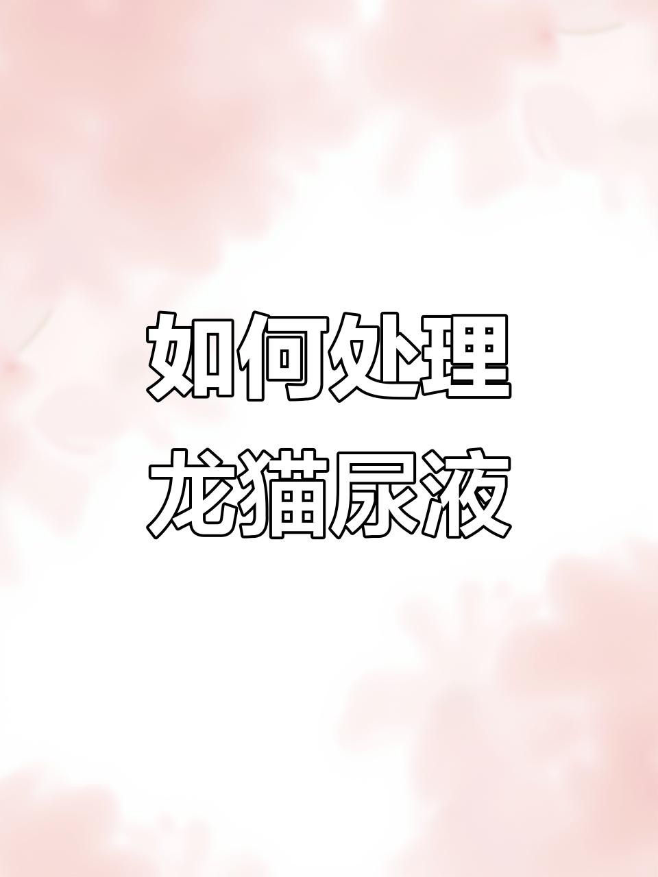 如何減少龍貓糞便的氣味？，龍貓有味道嗎龍貓身上沒有臭味，正確打理更清新