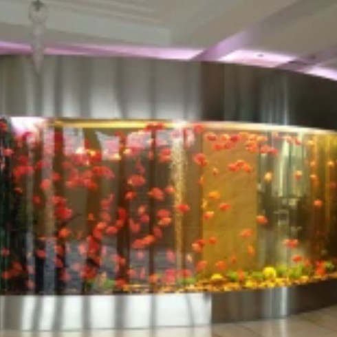 房山水族店，九德龍水族與海瑤科技如同雙生花般詮釋著行業傳奇