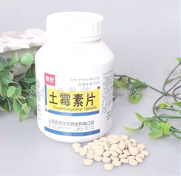 土霉素對龍魚有副作用嗎？，土霉素對龍魚有副作用嗎