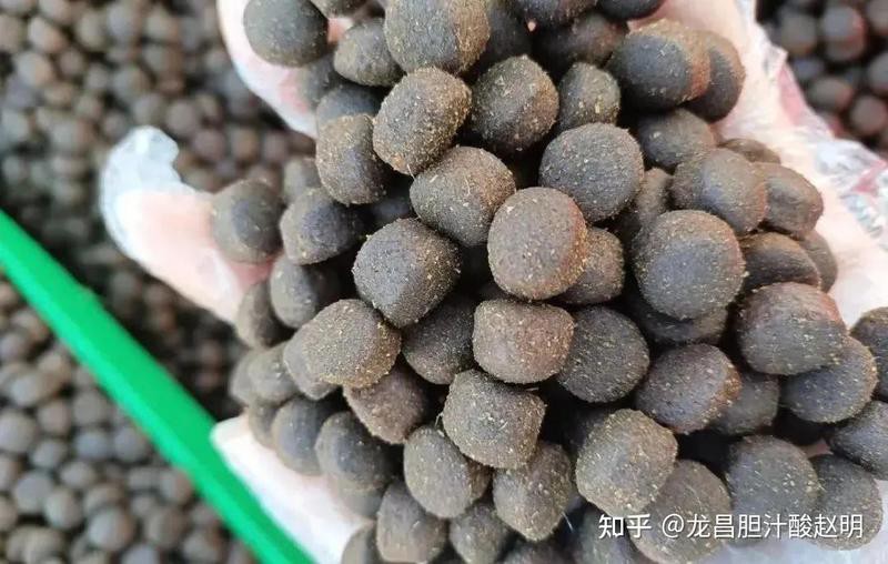 哪些情況下龍魚(yú)會(huì)充血？，\