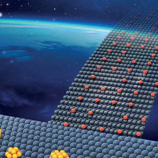 和尚可以吃什么肉，佛教《大般涅槃經》