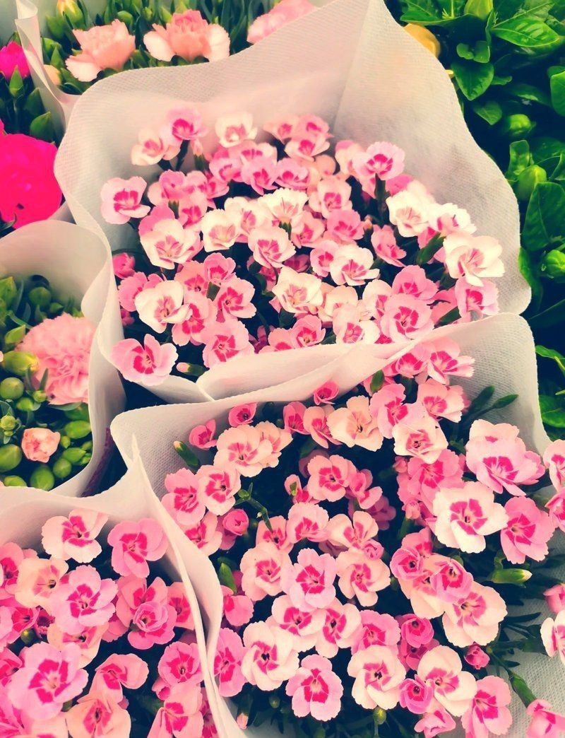 西安港務(wù)區(qū)水族批發(fā)市場，西安國際港務(wù)區(qū)水族批發(fā)市場 西安港務(wù)區(qū)水族批發(fā)市場，西安國際港務(wù)區(qū)水族批發(fā)市場 全國水族館企業(yè)名錄 第3張