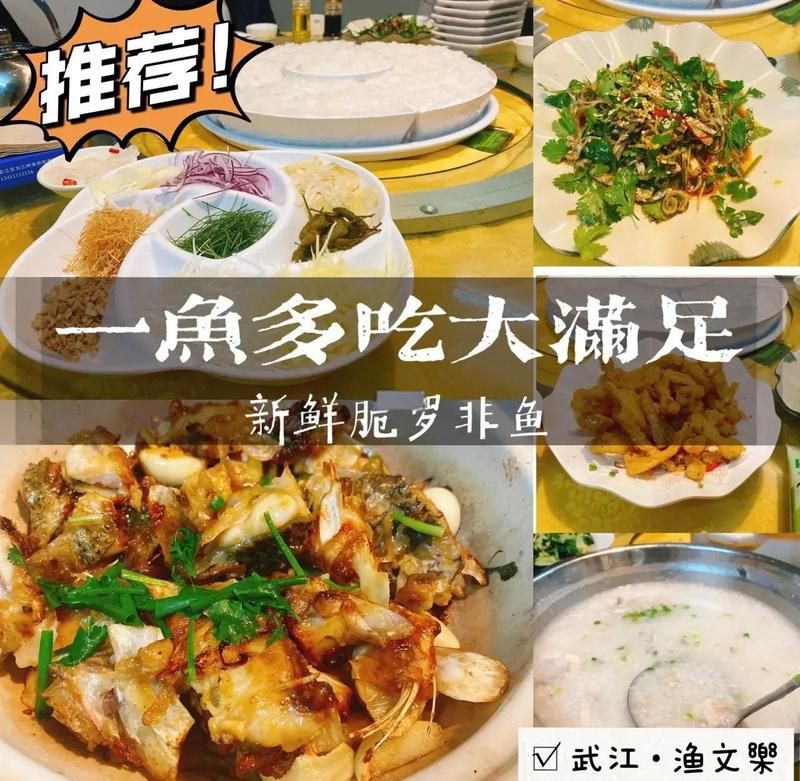 韶關龍魚店，韶關龍騰魚莊——韶關人靠山吃山，靠水吃水生活智慧的生動寫照