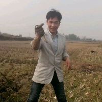 劍魚一般多少錢一斤，劍魚價格走勢如何