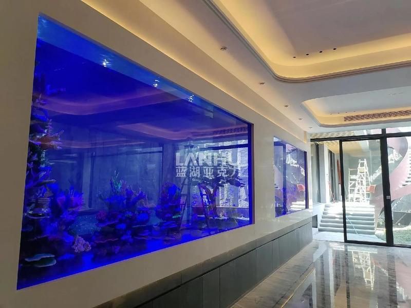 金華魚缸定做，金華地區(qū)魚缸定做