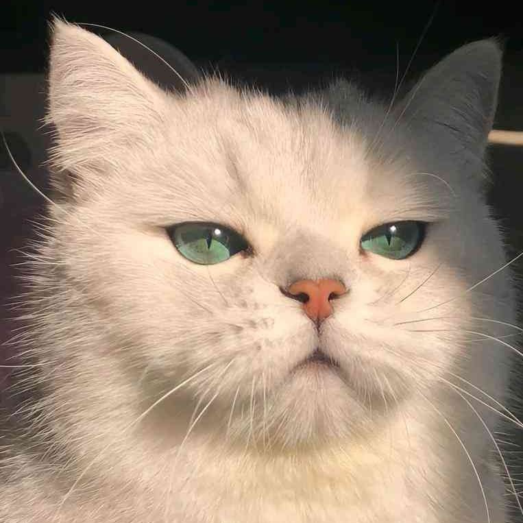 國產(chǎn)魚缸十大排名，2025年中國水族品牌top10權(quán)威榜單出爐 國產(chǎn)魚缸十大排名，2025年中國水族品牌top10權(quán)威榜單出爐 全國水族館企業(yè)名錄 第7張