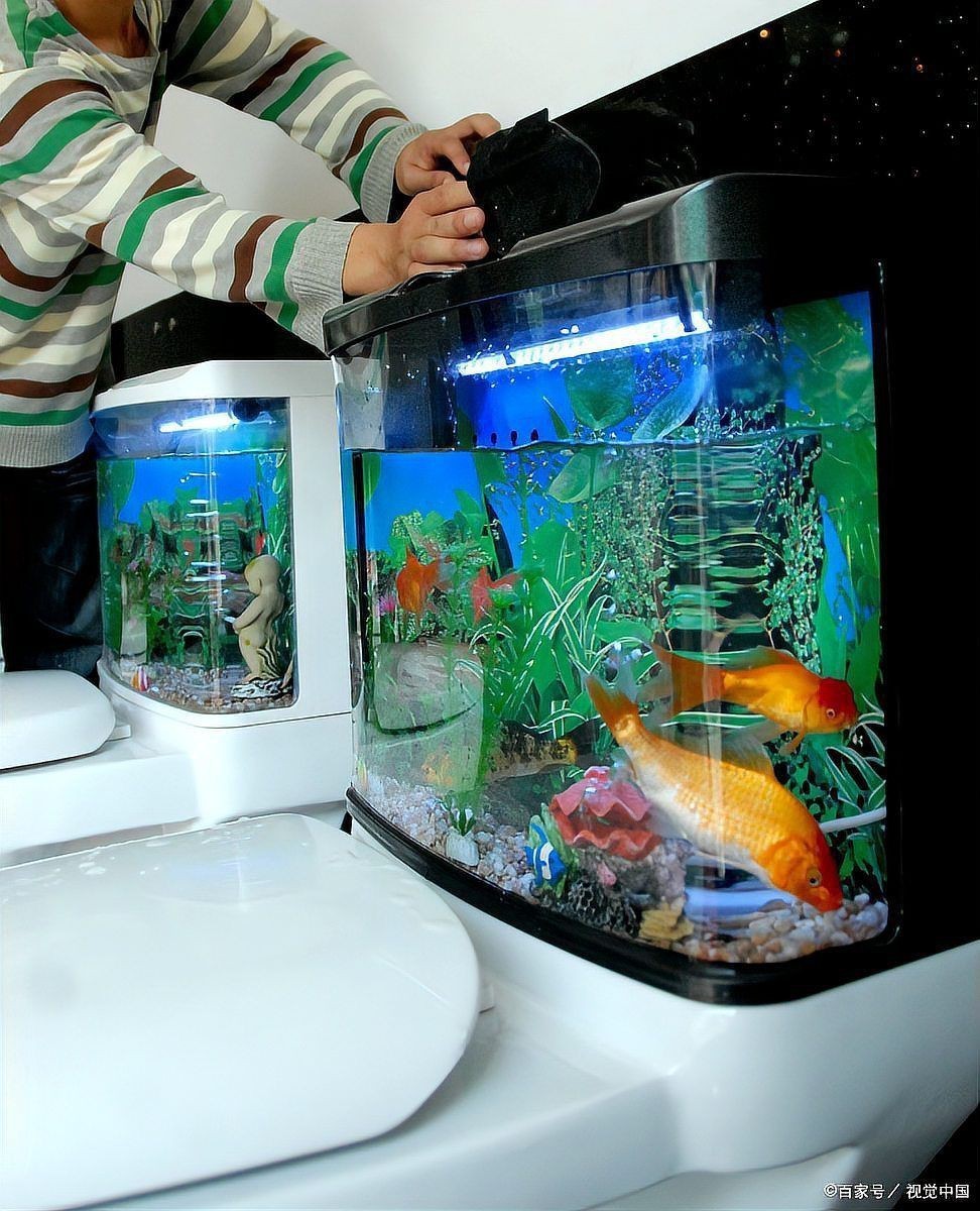 國產(chǎn)魚缸十大排名，2025年中國水族品牌top10權(quán)威榜單出爐 國產(chǎn)魚缸十大排名，2025年中國水族品牌top10權(quán)威榜單出爐 全國水族館企業(yè)名錄 第2張