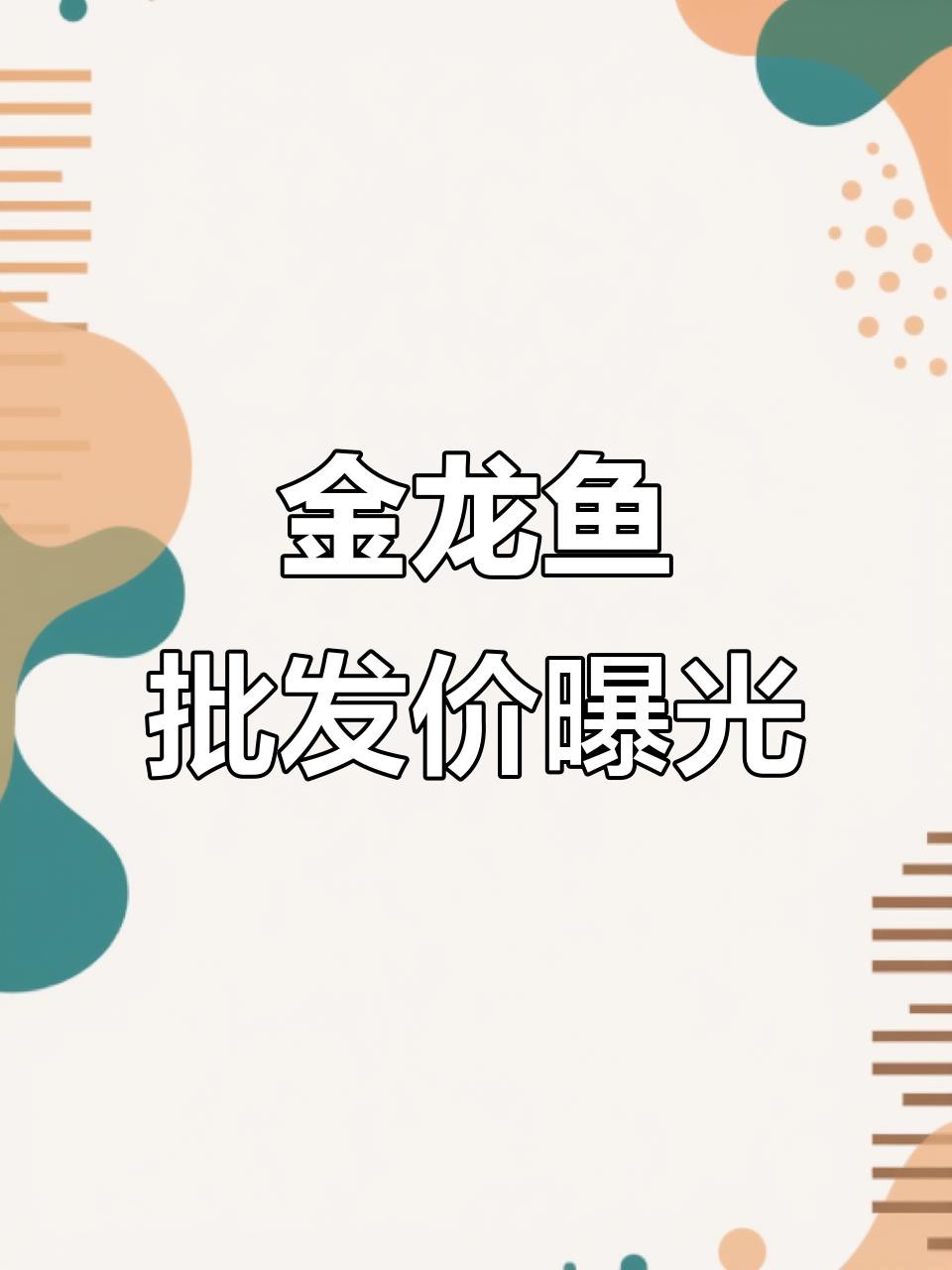 古典過(guò)背金龍價(jià)格是多少，古典過(guò)背金龍價(jià)格大揭秘,幾百元就能買(mǎi)到高品質(zhì)