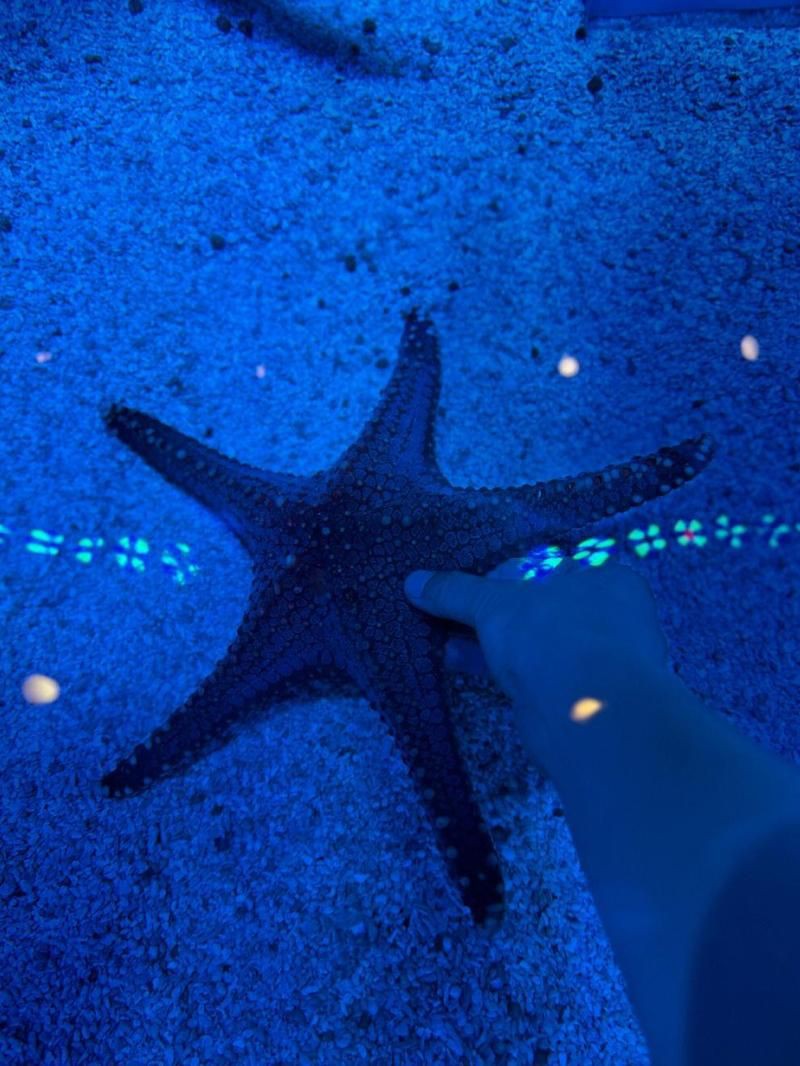 運城水族店，運城水族店分布廣泛且各具特色