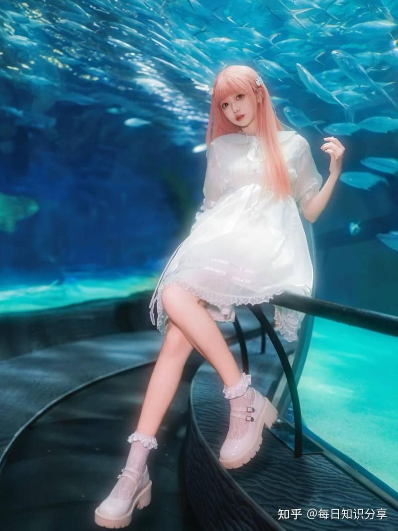 運城水族店，運城水族店分布廣泛且各具特色