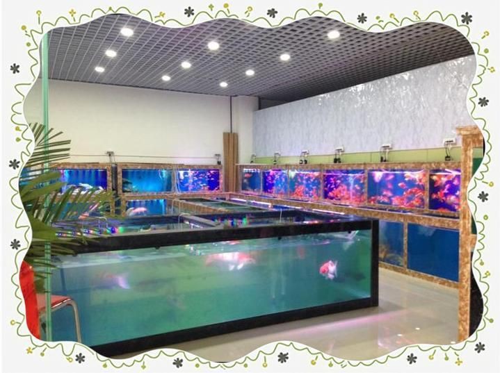 潮州魚缸店，潮州魚缸十大品牌排行榜酷家樂湘橋區(qū)彩魚坊水族店