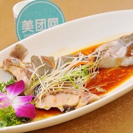 市北龍魚店，市北龍魚店哪家口碑最好