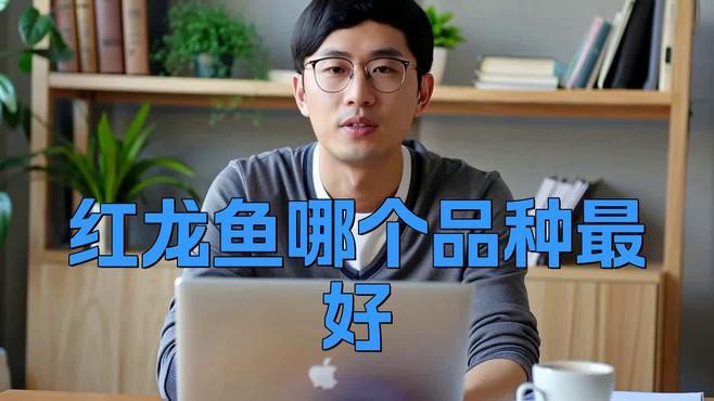 哪種血統(tǒng)的紅龍魚最稀有？，今日頭條紅龍魚哪個(gè)品種最好文瑜塑泥手記從新手到資深 哪種血統(tǒng)的紅龍魚最稀有？，今日頭條紅龍魚哪個(gè)品種最好文瑜塑泥手記從新手到資深 龍魚百科 第1張