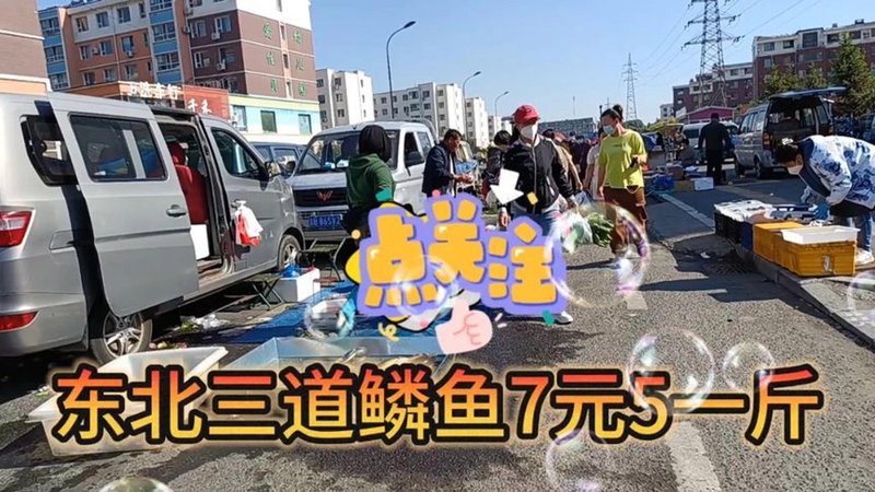 三道鱗魚(yú)價(jià)格多少錢(qián)一斤，三道鱗魚(yú)的價(jià)格