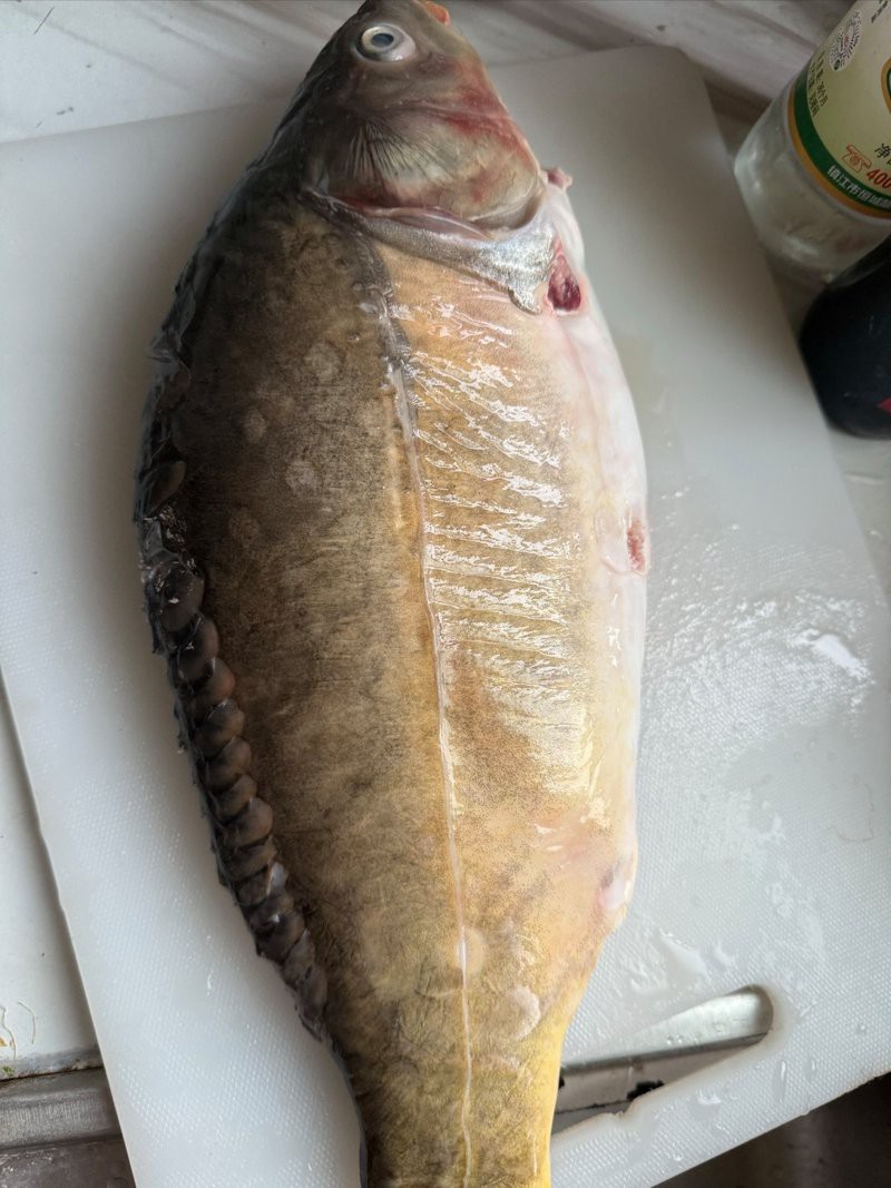 三道鱗魚(yú)價(jià)格多少錢(qián)一斤，三道鱗魚(yú)的價(jià)格