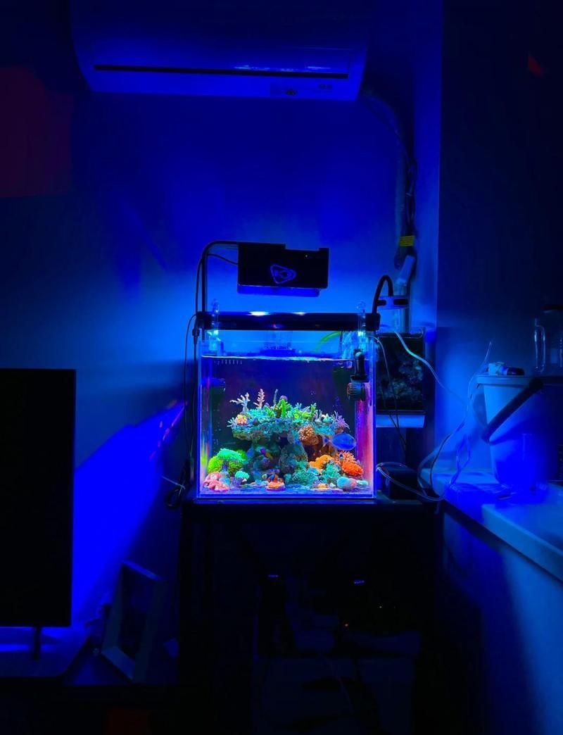 杭州魚缸定做，杭州亞克力魚缸定做