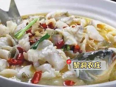 安遠(yuǎn)龍魚店，安遠(yuǎn)龍魚店有哪些品種的龍魚店具體位置在哪里 安遠(yuǎn)龍魚店，安遠(yuǎn)龍魚店有哪些品種的龍魚店具體位置在哪里 全國(guó)水族館企業(yè)名錄 第2張