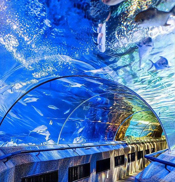 大連水族館，大連圣亞水族館