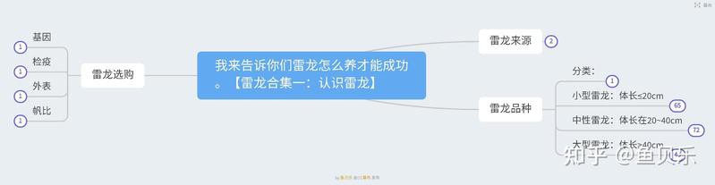 如何區分雷龍魚的不同品種？，如何區分雷龍魚的不同品種