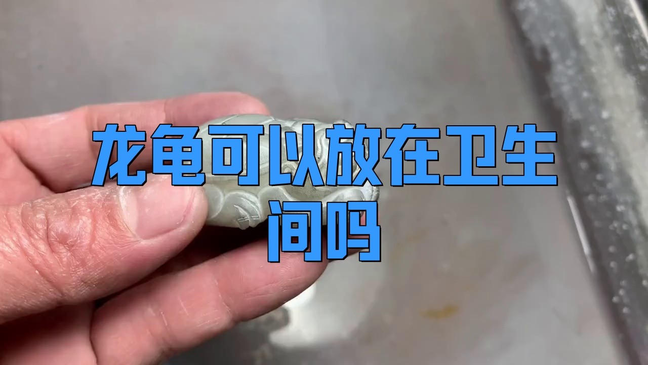 衛生間擺放龍龜有哪些禁忌，衛生間擺放龍龜需注意以下禁忌及要點