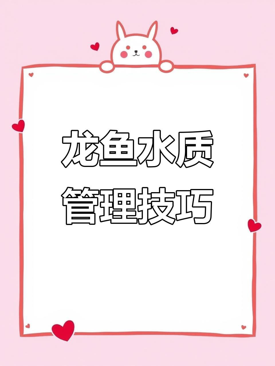 如何保持龍魚水質穩定，《如何保持龍魚水質穩定》