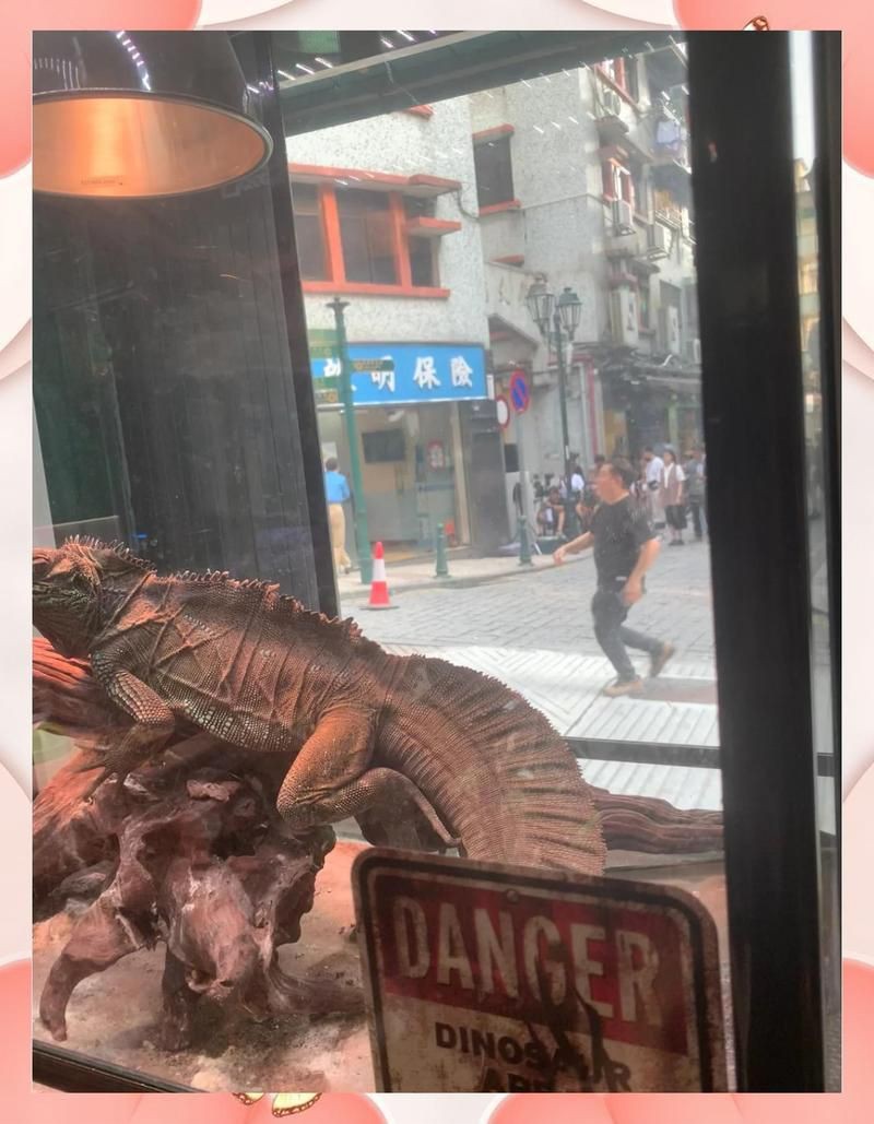 澳門水族店，探秘澳門水族店