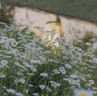 澳門水族店，探秘澳門水族店